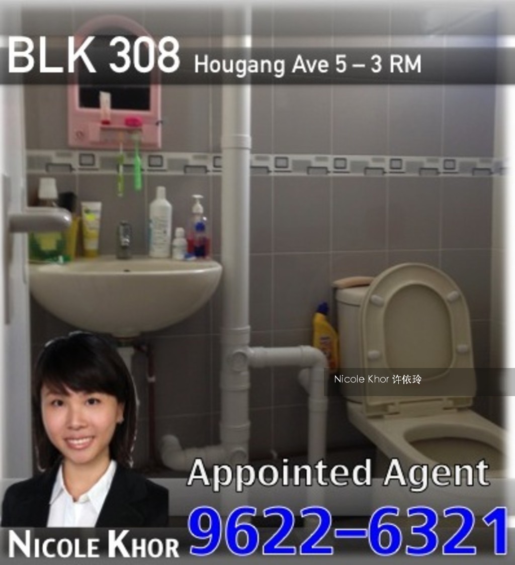 Blk 308 Hougang Avenue 5 (Hougang), HDB 3 Rooms #114440792